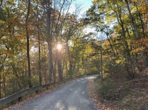 Winding gravel road through golden autumn woodland at Mohican Outdoor Center in Blairstown, New Jersey.