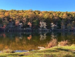 Golden and reddish autumn trees reflected in the still water of Catfish Pond at Mohican Outdoor Center in New Jersey.
