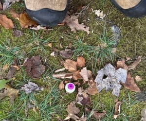Small purple and white artificial eyeball lying among fallen oak leaves, moss, and grass on a woodland trail.